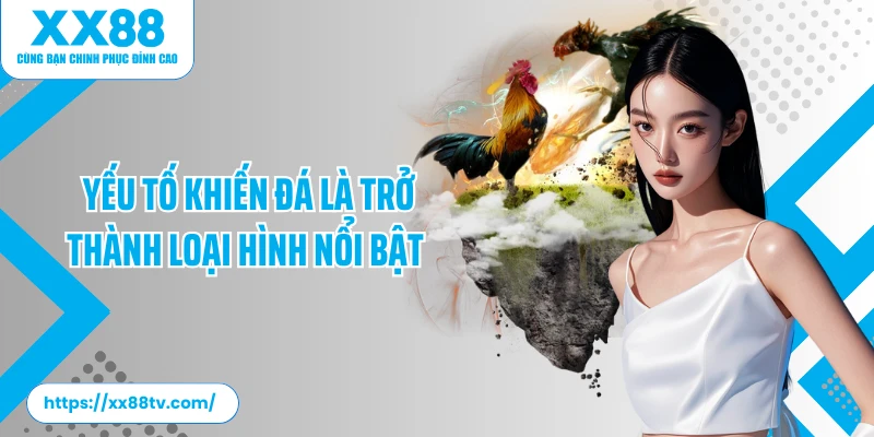 Yếu tố khiến đá là trở thành loại hình nổi bật